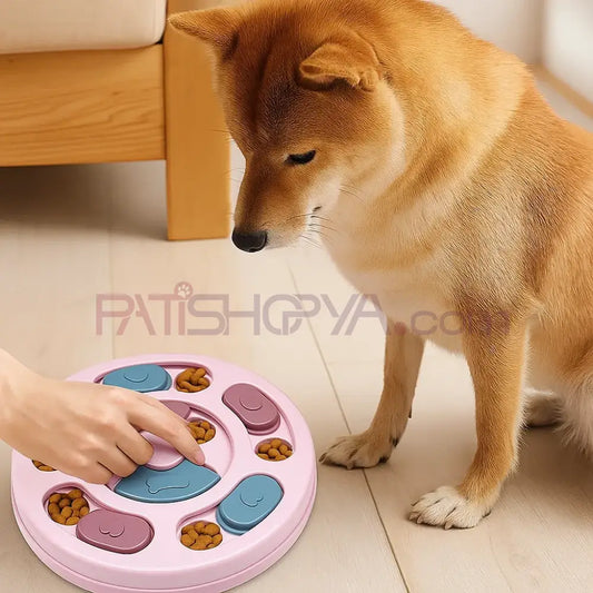 Obezite Engelleyici Mama Hazneli Köpek Oyuncağı Kutulu Zeka Geliştirici İnteraktif