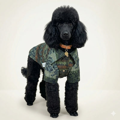 Retro Desenli Dokuma Gömlek Yeşil Toptan Köpek Kıyafetleri 5 Beden Set Köpek Gömleği