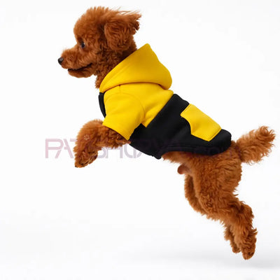 Sarı-Siyah Kapişonlu Sweatshirt S-M-L-XL-2XL (5 BEDEN SET) Kedi ve Köpek Kıyafeti