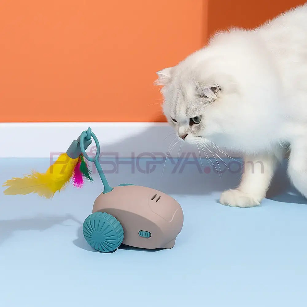 Şarjlı Akıllı Otomatik Hareket Eden İnteraktif Araba Kedi Oyuncağı 8 CM Kedi Oyuncakları