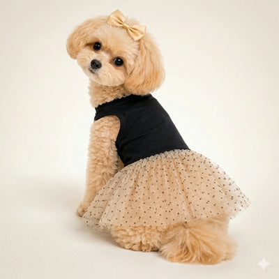 Siyah Bej Tütülü Elbise Toptan Köpek Kıyafetleri 5 Beden Set Şık Köpek Elbisesi