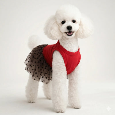 Tütülü Elbise Kırmızı Kahve Toptan Köpek Kıyafetleri 5 Beden Set Puantiyeli Köpek Elbisesi