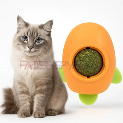 Kedi Yalama Topu Uçak Model İTHAL Kedi Oyuncakları