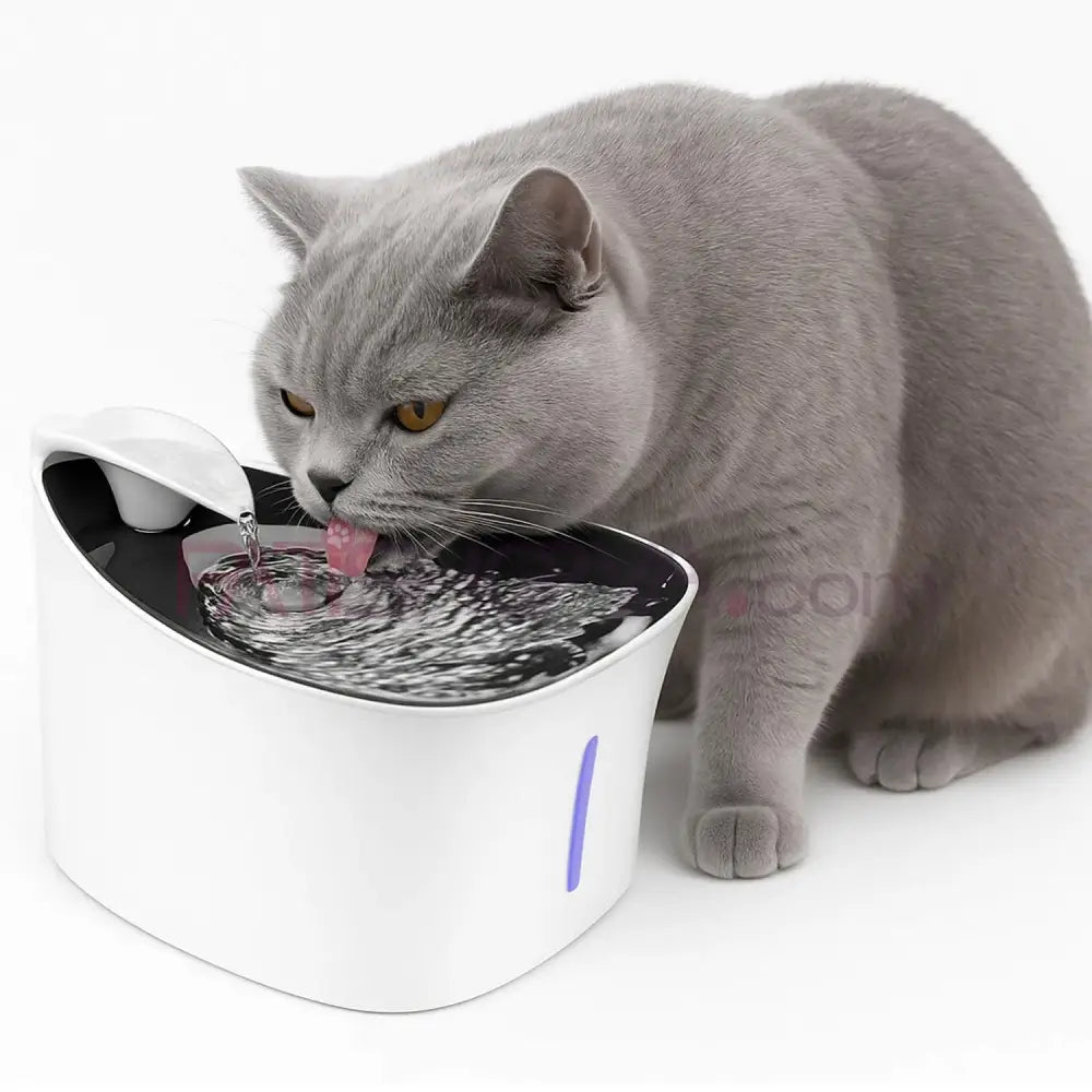 ŞENYAYLA BREZZA Otomatik Su Pınarı 2.5 LT (KUTULU) Kedi ve Köpek Mama Su Kabı