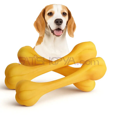 Sesli Kemik Modelli Isırma Oyuncak (KARTON ASKILI)