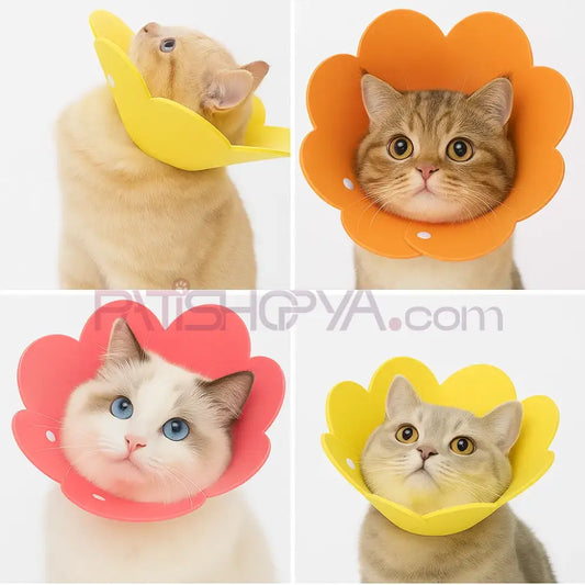 XL Evcil Hayvan Elizabeth Yakalık Kelepçeli Kedi ve Köpek Bakım Ürünleri