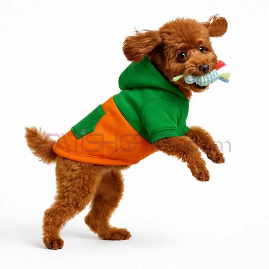 Yeşil-Turuncu Kapişonlu Sweatshirt S-M-L-XL-2XL (5 BEDEN SET) Kedi ve Köpek Kıyafeti